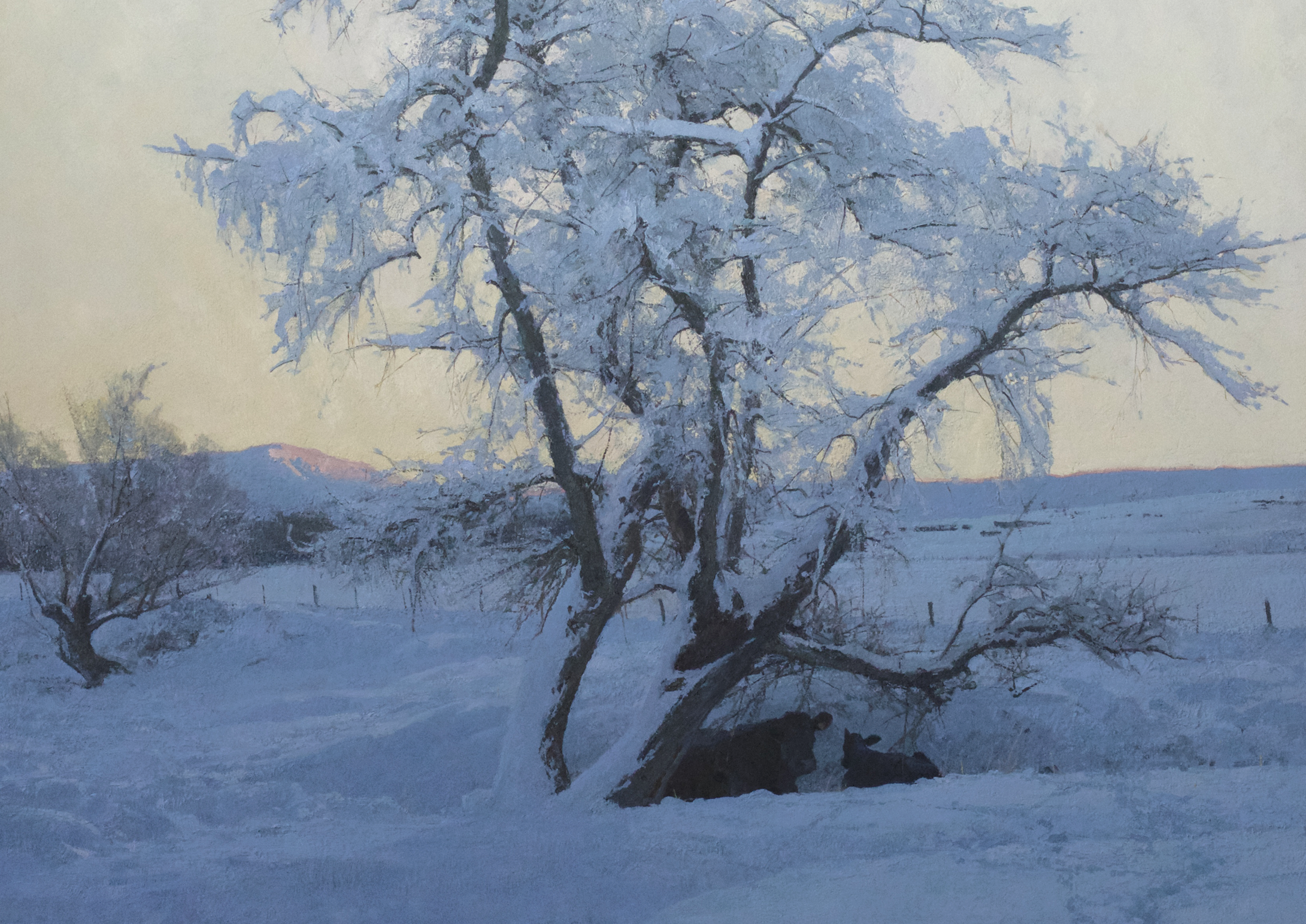 The Nursery Tree by T. Allen Lawson