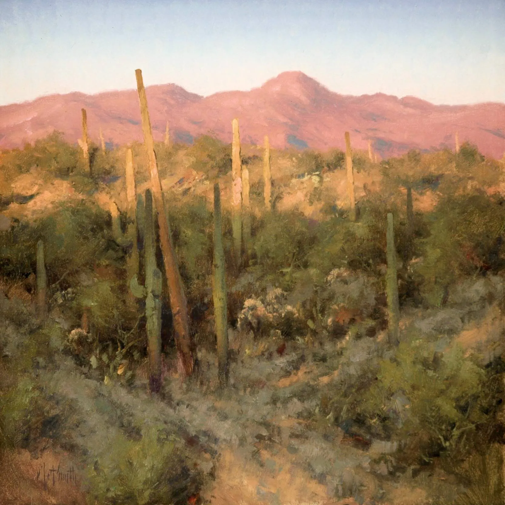 Last Light Over the Tonto by Matt Smith